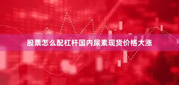 股票怎么配杠杆国内尿素现货价格大涨