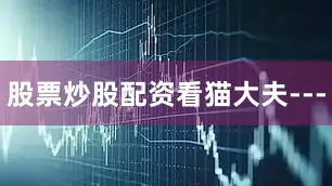股票炒股配资看猫大夫---